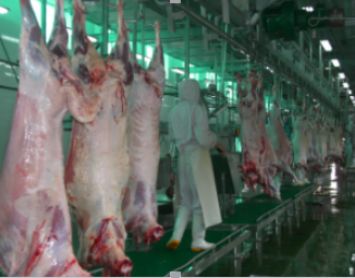 �i���������a(ch��n)���O��